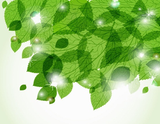 Fresh Green Leaves Vector Background